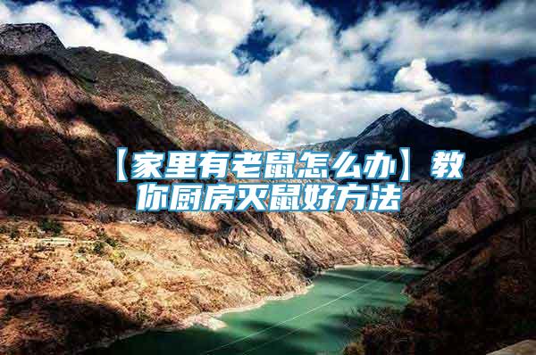 【家里有老鼠怎么辦】教你廚房滅鼠好方法