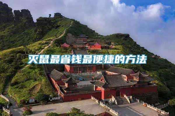 滅鼠最省錢最便捷的方法