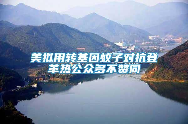 美擬用轉(zhuǎn)基因蚊子對(duì)抗登革熱公眾多不贊同