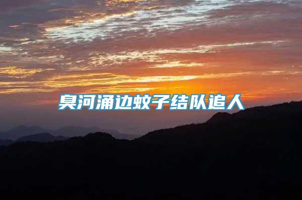 臭河涌邊蚊子結(jié)隊追人
