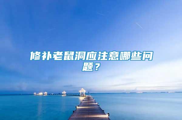 修補老鼠洞應注意哪些問題？