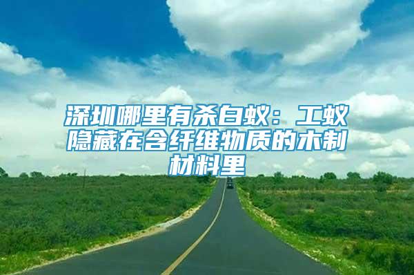 深圳哪里有殺白蟻：工蟻隱藏在含纖維物質(zhì)的木制材料里
