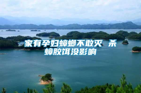 家有孕婦蟑螂不敢滅 殺蟑膠餌沒影響