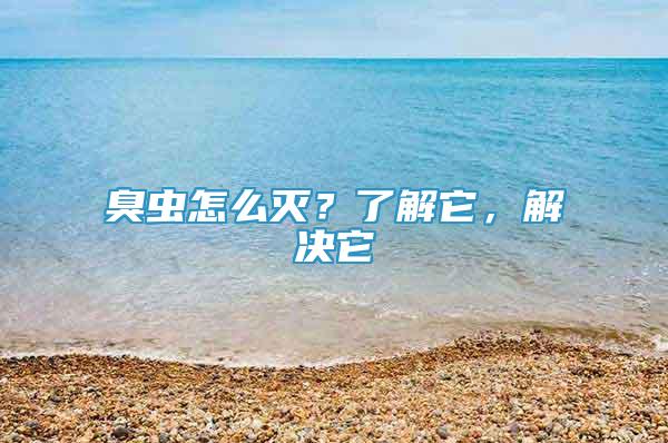 臭蟲怎么滅？了解它，解決它