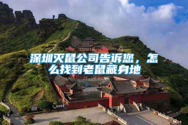 深圳滅鼠公司告訴您，怎么找到老鼠藏身地