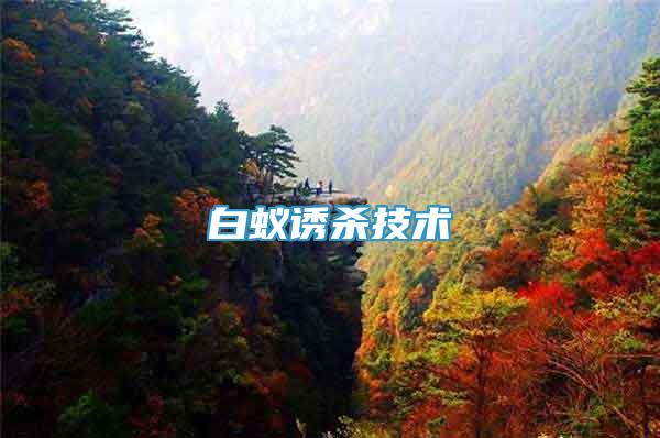 白蟻誘殺技術(shù)