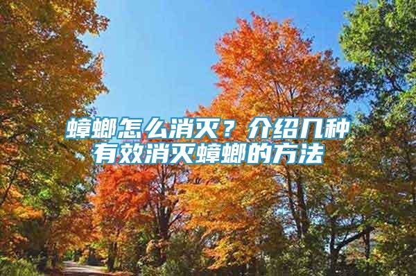 蟑螂怎么消滅？介紹幾種有效消滅蟑螂的方法