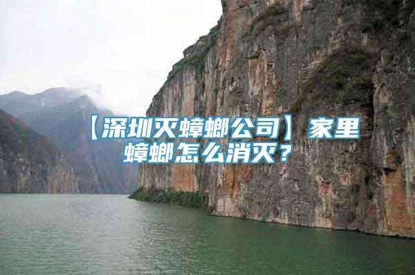 【深圳滅蟑螂公司】家里蟑螂怎么消滅？