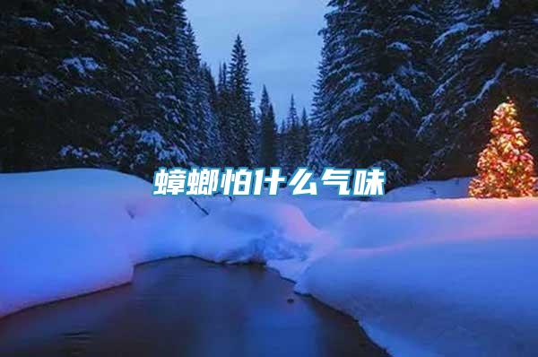 蟑螂怕什么氣味