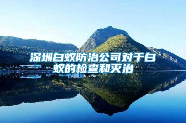 深圳白蟻防治公司對于白蟻的檢查和滅治