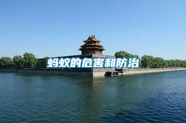 螞蟻的危害和防治