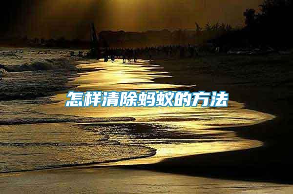 怎樣清除螞蟻的方法