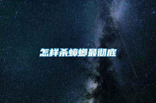 怎樣殺蟑螂最徹底