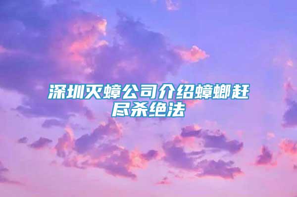 深圳滅蟑公司介紹蟑螂趕盡殺絕法