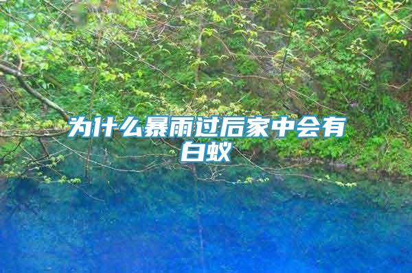 為什么暴雨過后家中會(huì)有白蟻