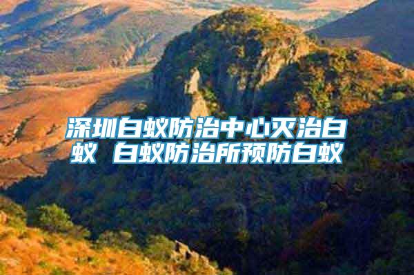 深圳白蟻防治中心滅治白蟻 白蟻防治所預(yù)防白蟻