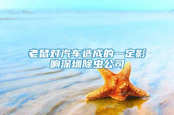 老鼠對汽車造成的一定影響深圳除蟲公司