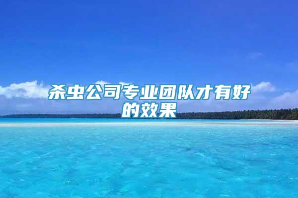 殺蟲公司專業(yè)團(tuán)隊(duì)才有好的效果