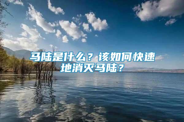 馬陸是什么？該如何快速地消滅馬陸？