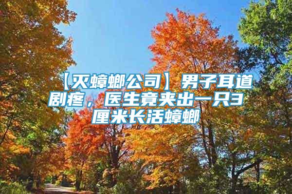 【滅蟑螂公司】男子耳道劇疼，醫(yī)生竟夾出一只3厘米長活蟑螂