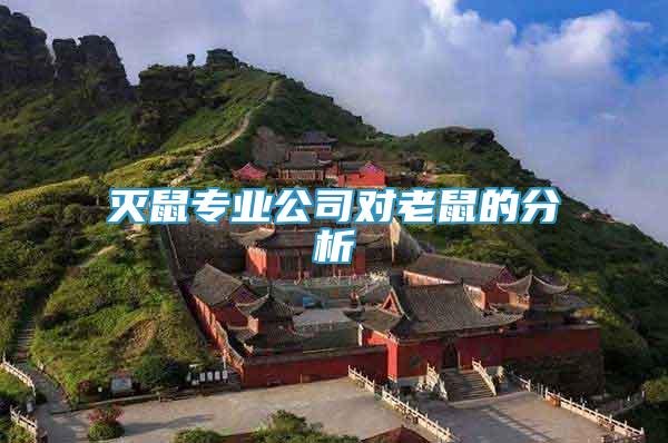 滅鼠專業(yè)公司對老鼠的分析