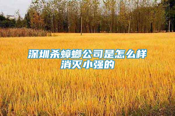 深圳殺蟑螂公司是怎么樣消滅小強的