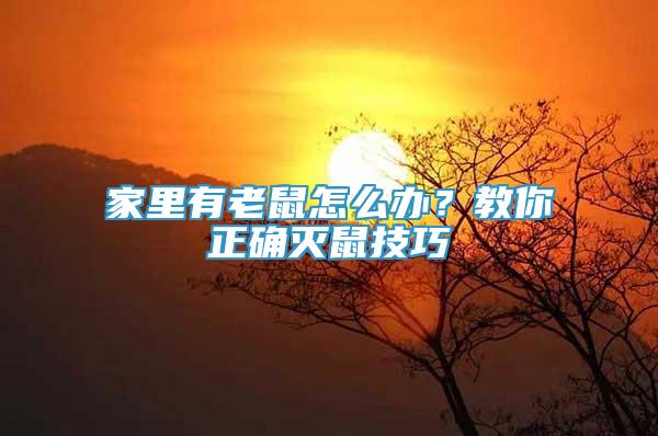 家里有老鼠怎么辦？教你正確滅鼠技巧