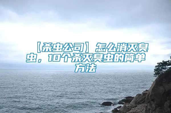 【殺蟲公司】怎么消滅臭蟲，10個殺滅臭蟲的簡單方法