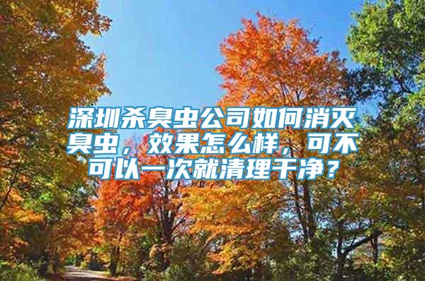 深圳殺臭蟲公司如何消滅臭蟲，效果怎么樣，可不可以一次就清理干凈？