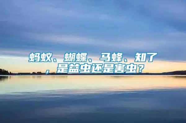 螞蟻、蝴蝶、馬蜂、知了，是益蟲還是害蟲？
