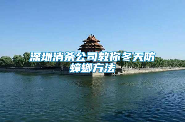深圳消殺公司教你冬天防蟑螂方法