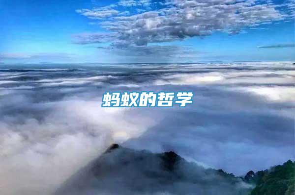 螞蟻的哲學(xué)