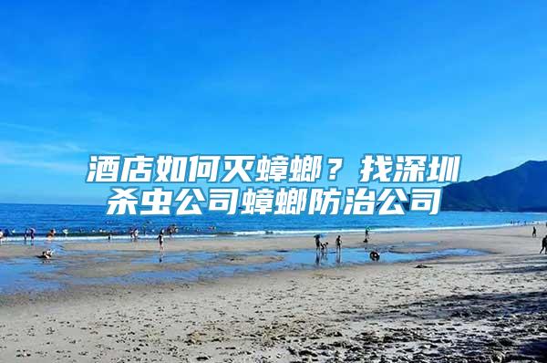 酒店如何滅蟑螂？找深圳殺蟲公司蟑螂防治公司