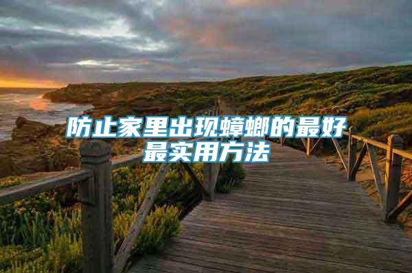 防止家里出現(xiàn)蟑螂的最好最實(shí)用方法