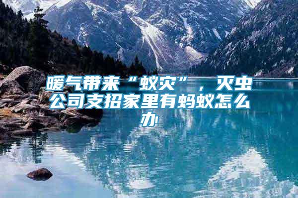 暖氣帶來“蟻災(zāi)”，滅蟲公司支招家里有螞蟻怎么辦