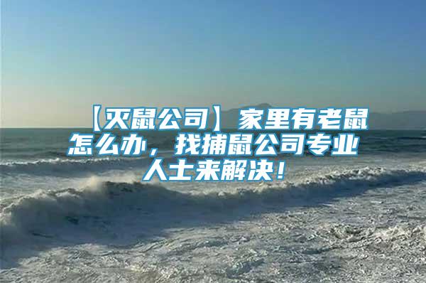 【滅鼠公司】家里有老鼠怎么辦，找捕鼠公司專業(yè)人士來解決！