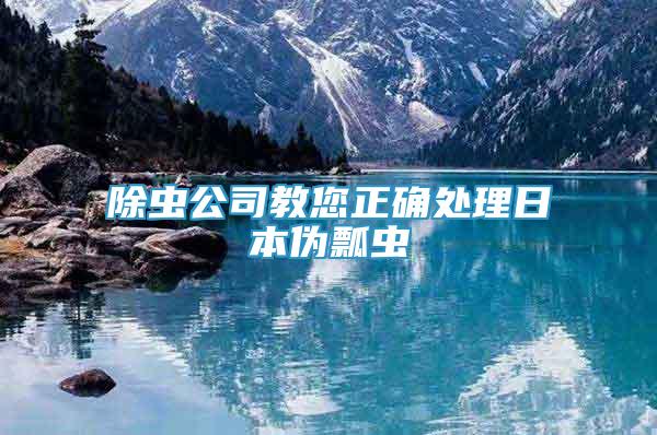 除蟲公司教您正確處理日本偽瓢蟲