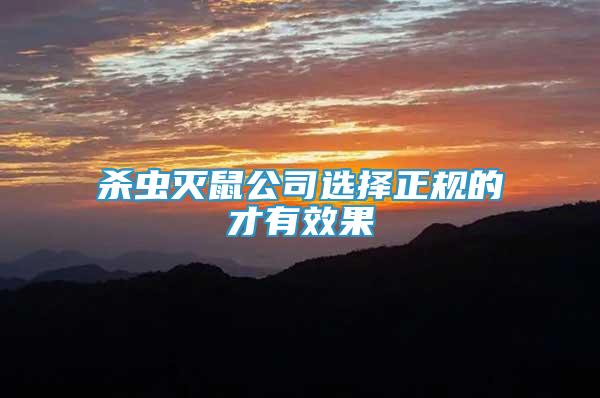 殺蟲滅鼠公司選擇正規(guī)的才有效果