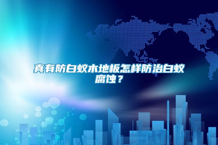 真有防白蟻木地板怎樣防治白蟻腐蝕？