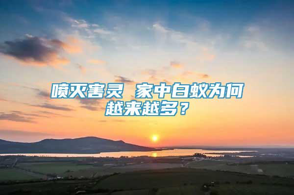 噴滅害靈 家中白蟻為何越來越多？