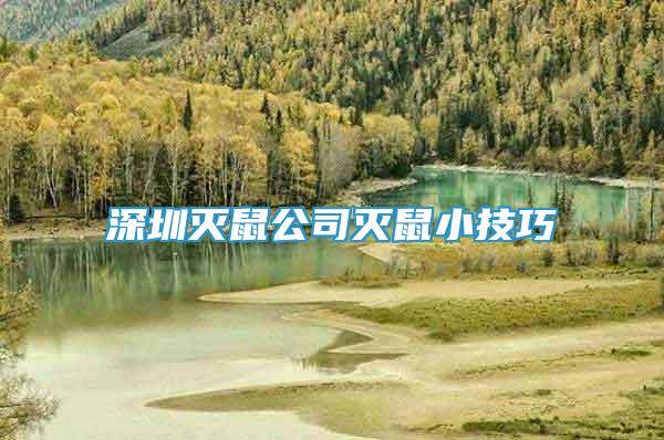 深圳滅鼠公司滅鼠小技巧