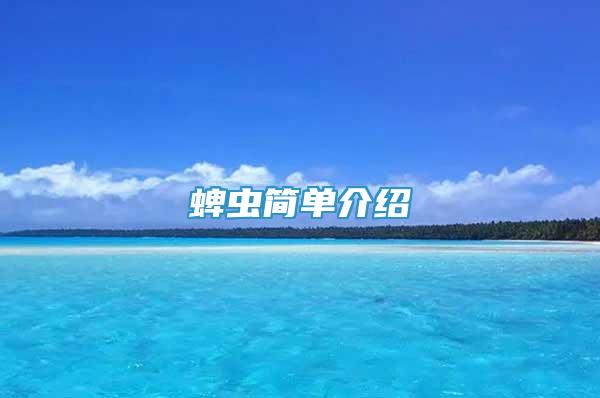 蜱蟲簡單介紹