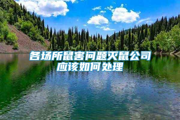 各場(chǎng)所鼠害問(wèn)題滅鼠公司應(yīng)該如何處理