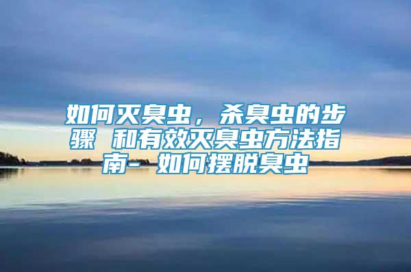 如何滅臭蟲，殺臭蟲的步驟 和有效滅臭蟲方法指南- 如何擺脫臭蟲