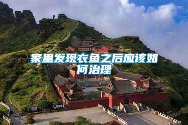 家里發(fā)現(xiàn)衣魚(yú)之后應(yīng)該如何治理