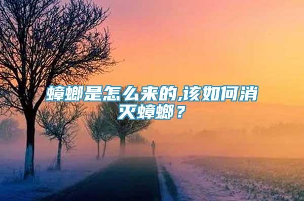 蟑螂是怎么來的,該如何消滅蟑螂？