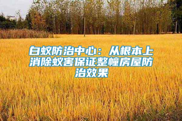 白蟻防治中心：從根本上消除蟻害保證整幢房屋防治效果