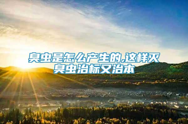 臭蟲是怎么產生的,這樣滅臭蟲治標又治本