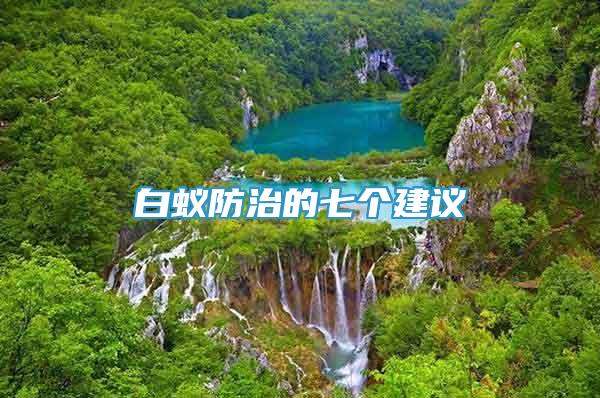白蟻防治的七個建議