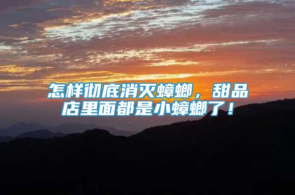 怎樣徹底消滅蟑螂，甜品店里面都是小蟑螂了！